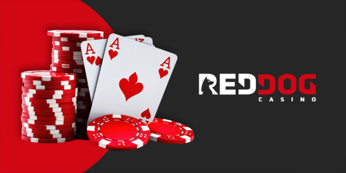 Strategi Cerdas Mendapatkan Jackpot Besar di Casino Red Dog